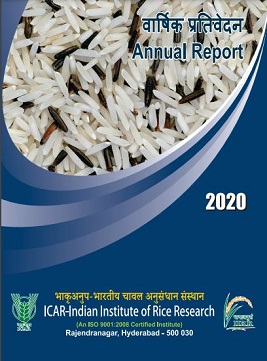 Annual Report 2019-2020