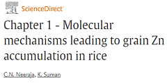 Publication