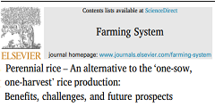 Publication