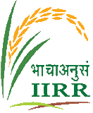 Indian Institute of Rice Research