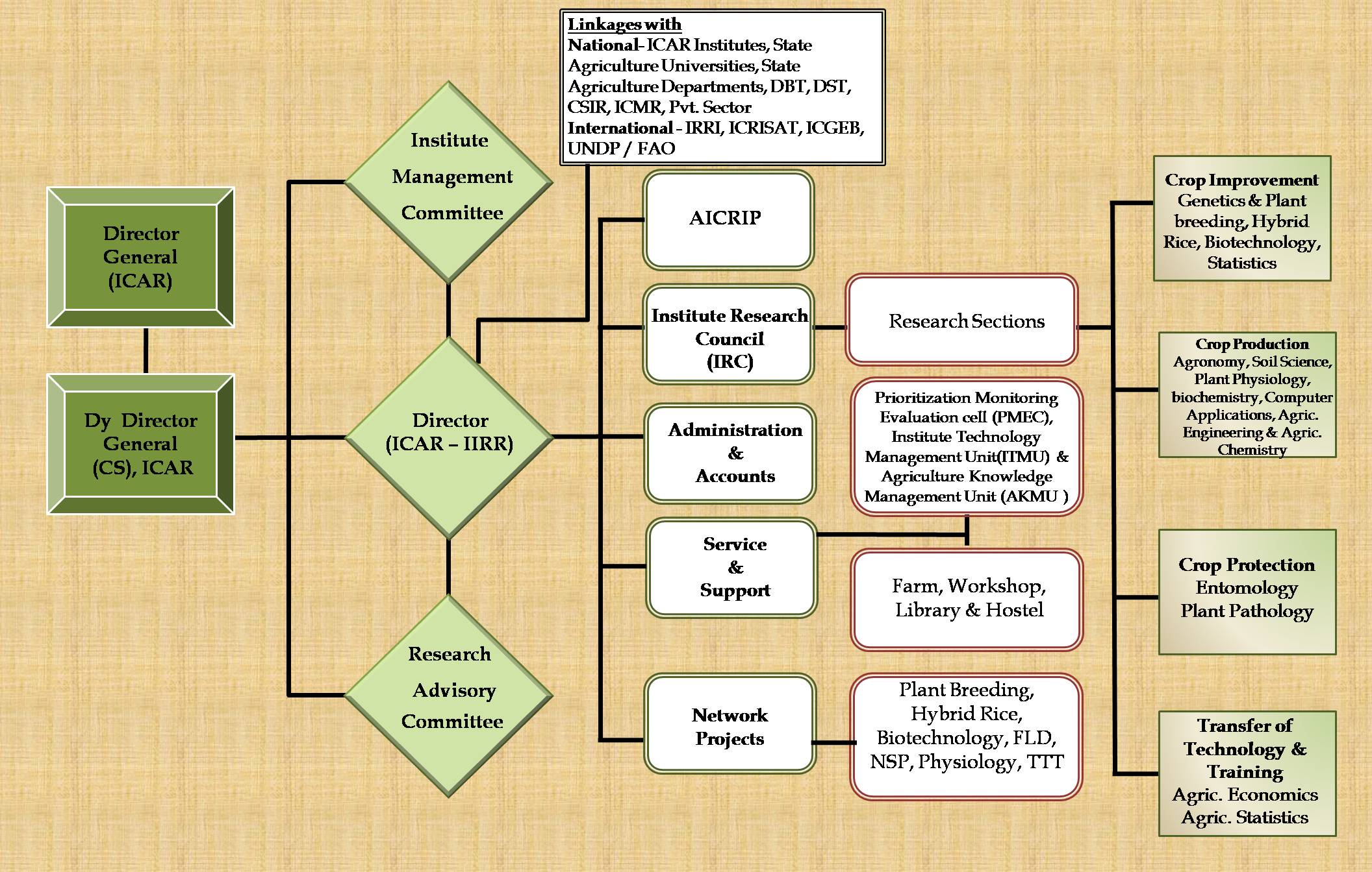 organogram-for_website-9-5-2019.jpg