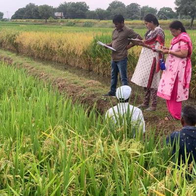 Visit of Monitoring Team to AICRIP Zones during October 2022